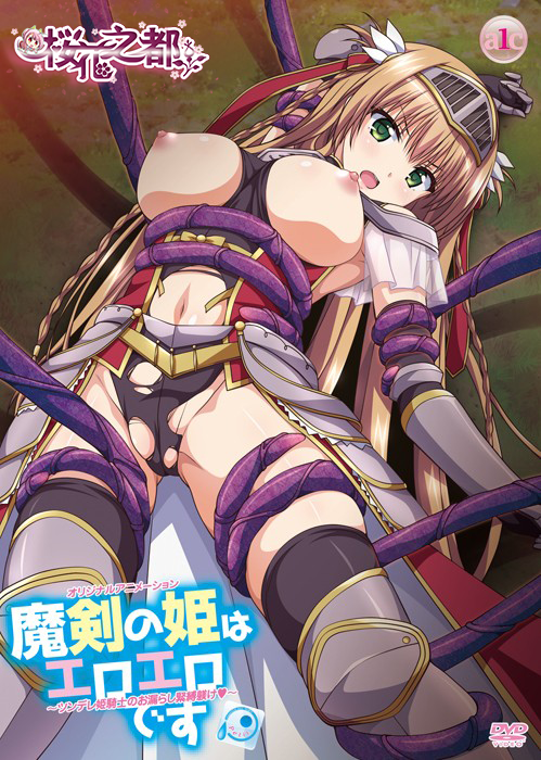 魔剣の姫はエロエロです～ツンデレ姫骑士のお漏らし紧缚躾け～[2018年10月里番],高清在线播放
